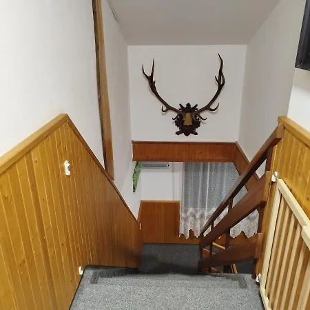 Nyaraló Sankovi